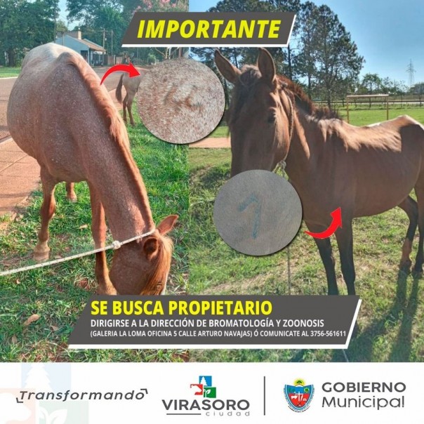 Buscamos a su propietario