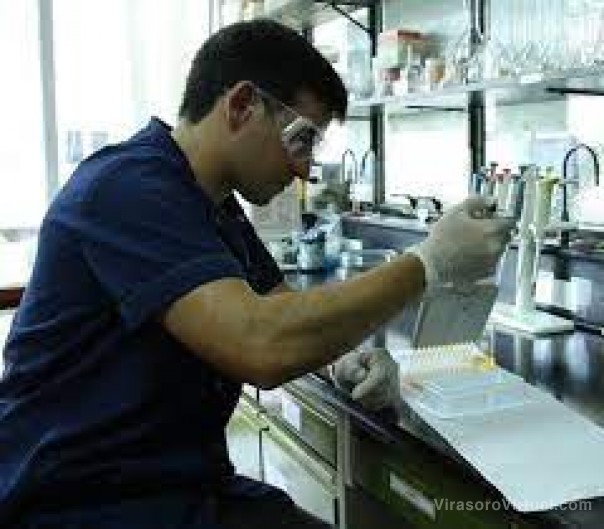 El Reino Unido financiará a la Unne para producir suero antiofídico