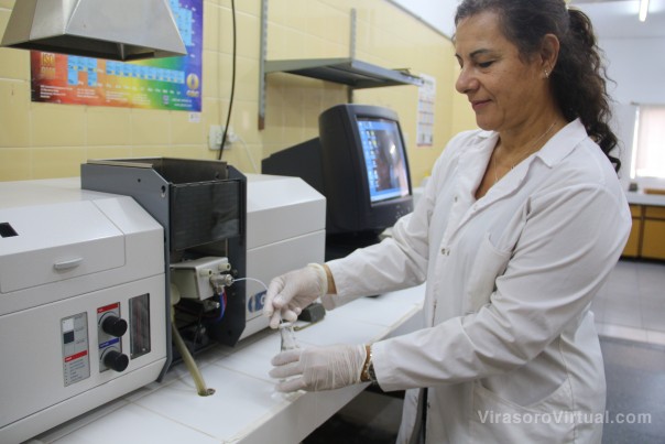 Estudian la “bioaccesibilidad” de minerales en distintos alimentos como base para mejorar el aporte de nutrientes