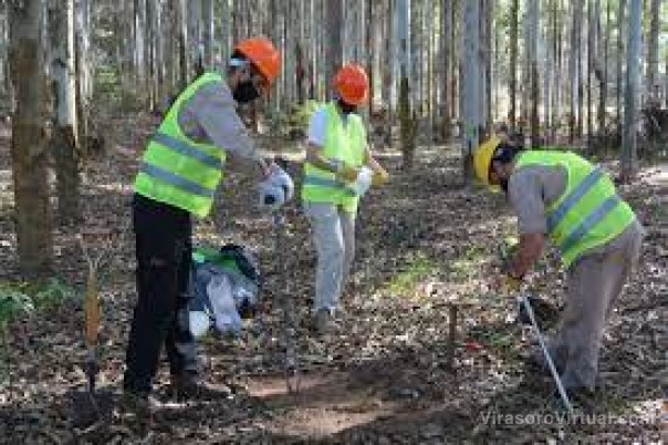 El Inta mostrará un estudio de carbono orgánico en las forestaciones