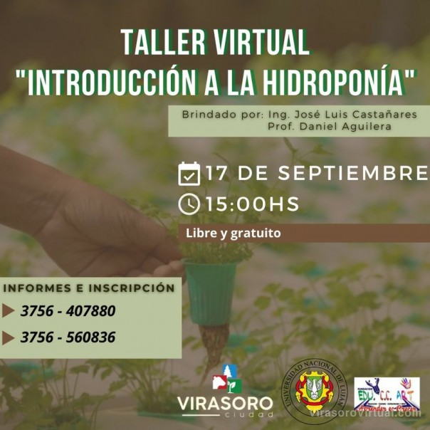 Introducción a la hidroponía