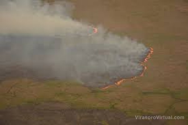Catástrofe: entre enero y febrero hubo 10.000 focos de incendio en Corrientes