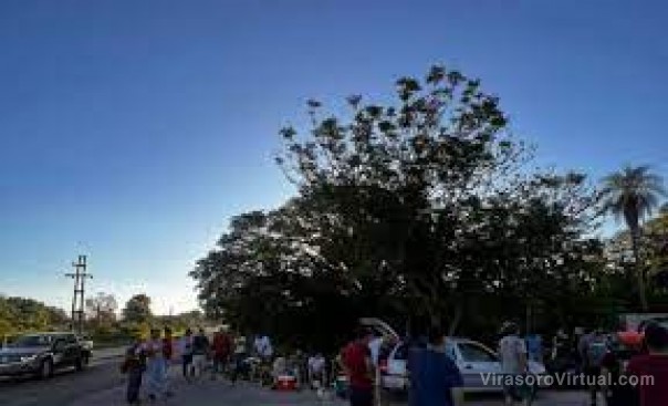 Gripe aviar en Corrientes: acampe de 150 trabajadores de una avícola por una contraprueba