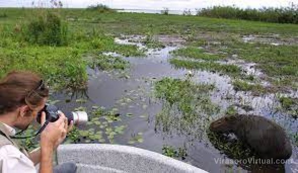 Iberá y Capital, las opciones de los turistas