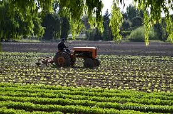 Asesorarán a trabajadores rurales de Virasoro