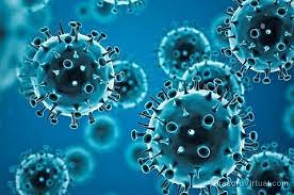 Corrientes registra 231 casos nuevos de Coronavirus: 63 en Capital y 168 en el interior