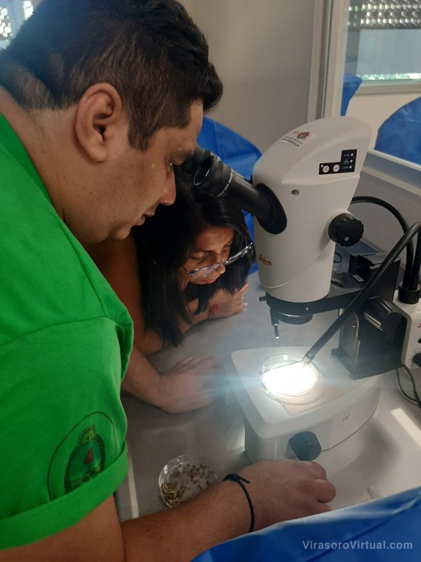 Corrientes, presente en el taller de actividades programáticas para la vigilancia vectorial de la Leishmaniasis