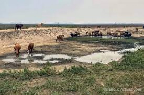 Productores aguardan la prórroga de la Emergencia