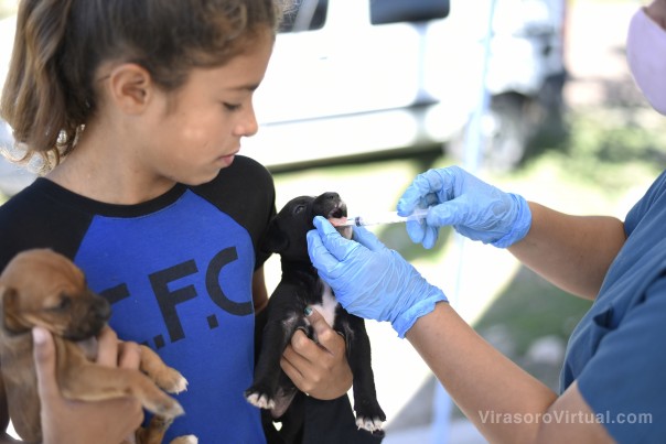 Tassano relanzó La Muni en tu Barrio y Mascotas Saludables