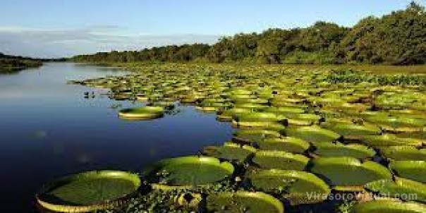 El Iberá y la devoción a San La Muerte movilizaron el turismo en Corrientes