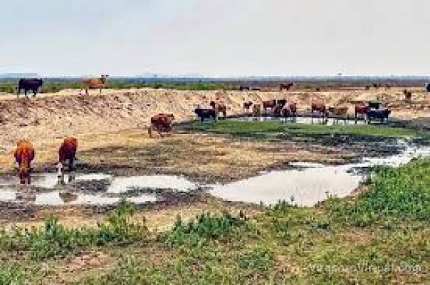 Son 18.000 los productores afectados por la sequía y se analiza renegociar créditos