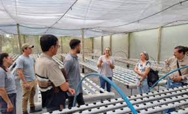 Mediante un intercambio con Brasil promueven el desarrollo del cultivo sin suelo