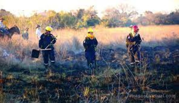 Alerta incendios: 20 focos ígneos, la mayoría iniciados por quema de pastizales
