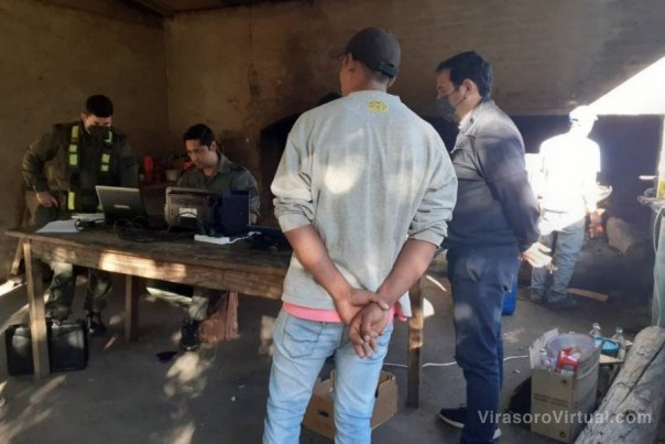Explotación laboral: allanan establecimientos forestales dedicados a la producción de resina.