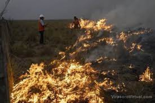 Productores correntinos calculan pérdidas de casi $70.000 millones por los incendios