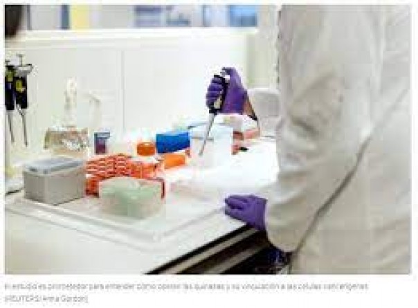 Científicos argentinos lograron un avance en la investigación del cáncer que puede abrir las puertas a nuevas terapias