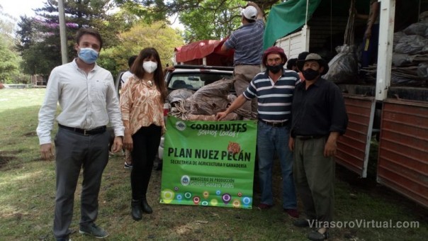 Continúa la distribución de plantines en la cuenca pecanera del Paralelo 30
