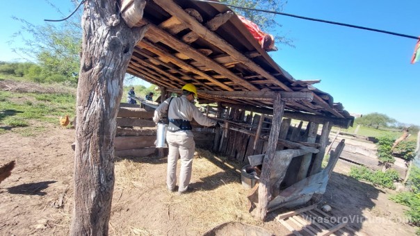 Salud realiza vigilancia entomológica activa por Chagas