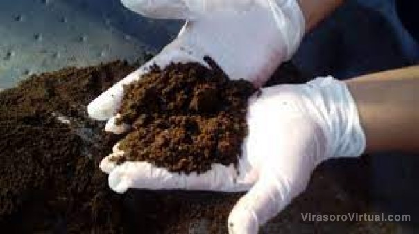 Avanza un proyecto para generar tachos inteligentes destinados al compostaje de yerba