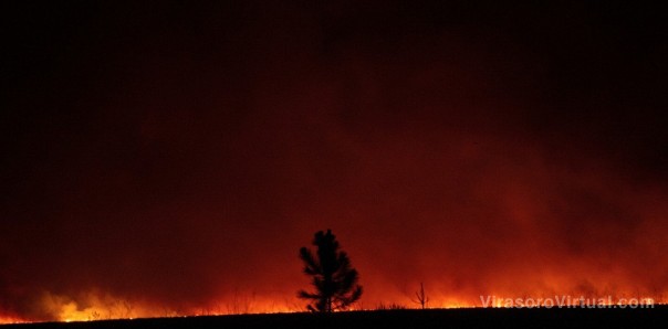 Horas cruciales en los incendios en Corrientes: llega la ayuda y siguen los cruces políticos