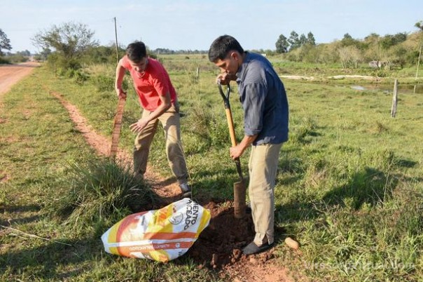 Para celebrar el Día Nacional del Árbol se plantaron en la calle principal del acceso al Paraje Los Bretes
