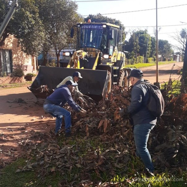 Recolección de ramas en la ciudad