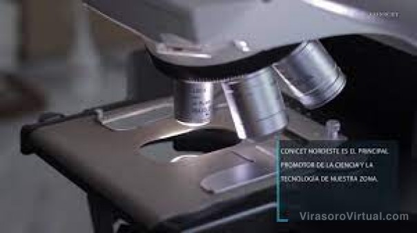 Invirtieron más de $1.000 millones en proyectos de innovación y desarrollo