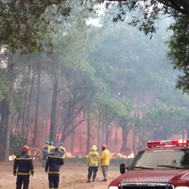 Bomberos, Policía, Defensa Civil y agentes municipales, trabajan en equipo para combatir los incendios