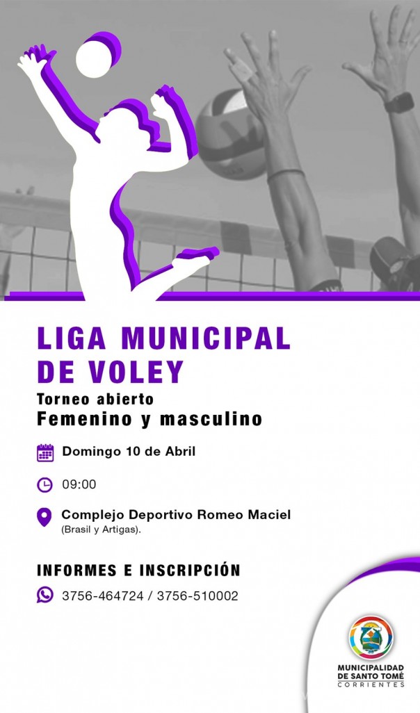 Liga Municipal de Voley