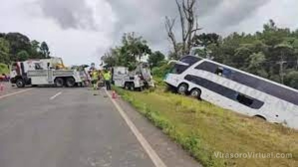 Brasil: cinco argentinos murieron tras caer un micro en un barranco