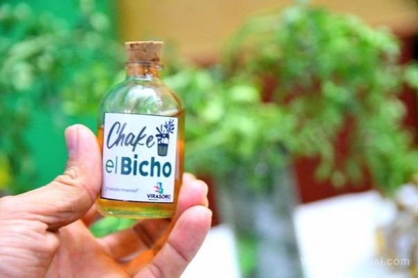 16° Festival #Chake el Bicho, tomá caña con ruda