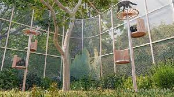 Presentaron una propuesta de “bioparque” para el Centro Aguará
