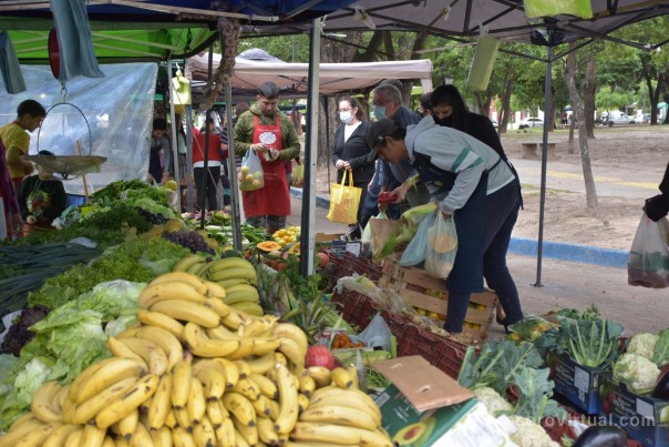 Servicios municipales durante la Feria Administrativa