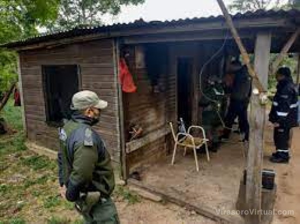 A pedido de la ONU, indagarán sobre la presencia de trabajo forzoso en el sector forestal