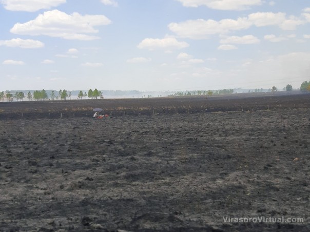 Emergencia agropecuaria