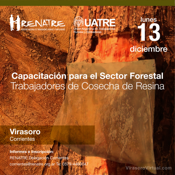 Capacitan a trabajadores forestales