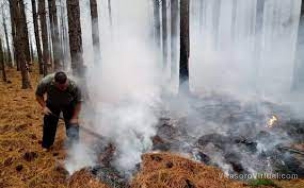 Cayó un rayo en un pino y desató un incendio forestal en La Cruz