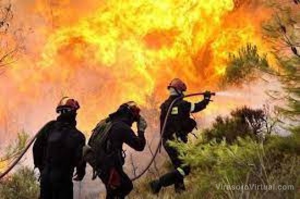 AFoA y la Red de Manejo del Fuego Rural ofrecen curso gratuito para formadores en áreas de manejo del fuego y forestal
