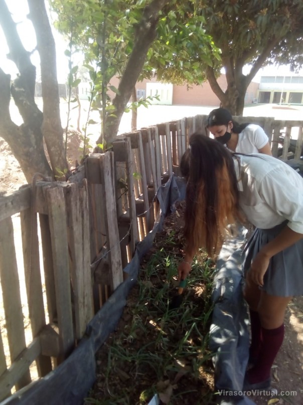 Desarrollo Social continúa con el trabajo de huertas en conjunto con escuelas