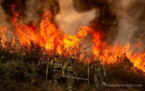 Incendios: 16 casos en la Justicia y hablan de “intención política”