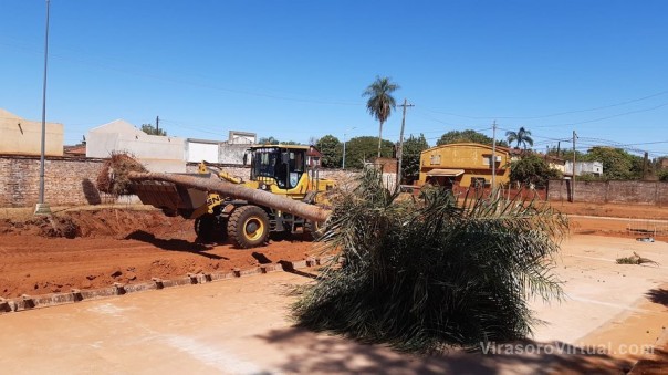 Con el fin de mantener el arbolado urbano, se realizó la remoción de dos palmeras