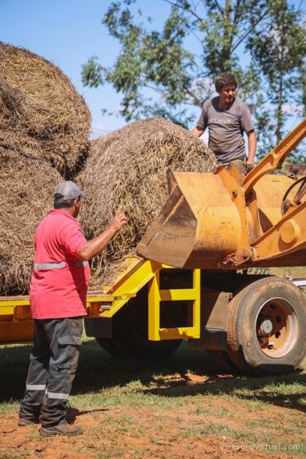 Las temporadas de sequías y altas temperaturas afectan de diferentes maneras a los productores,