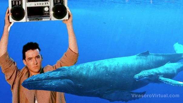 Los científicos creen que finalmente pueden hablar con las ballenas. ¿Quizás no deberían?