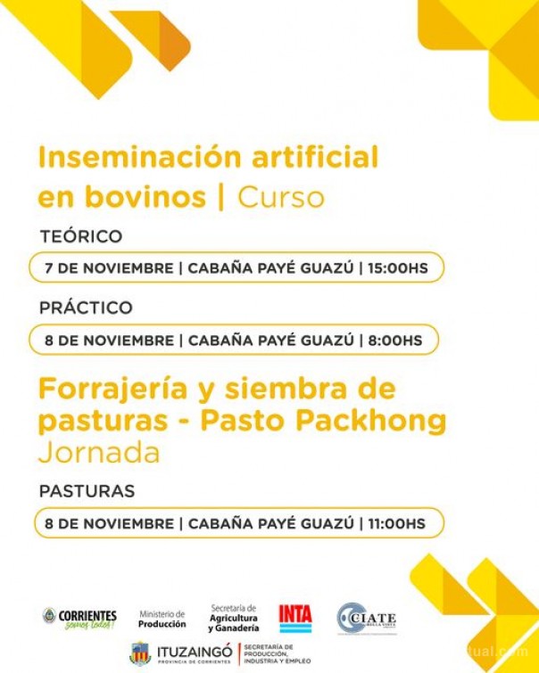 Curso: Inseminación artificial en bovinos