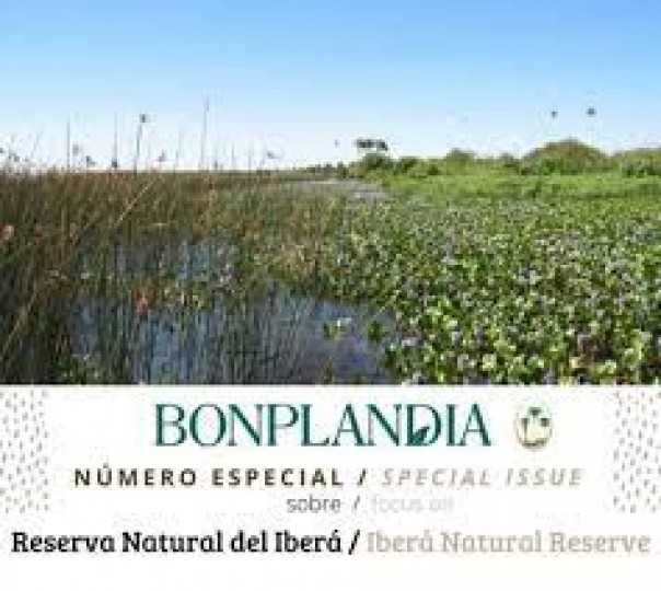 Una publicación de la Unne ingresó a la red latinoamericana de revistas científicas