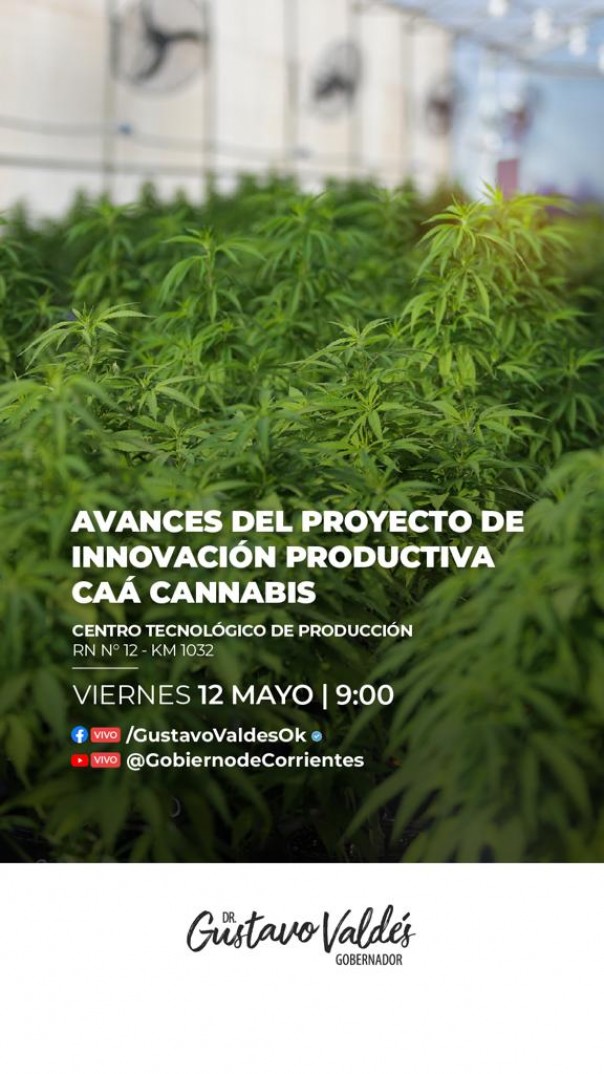 El Gobernador presentará los avances del Proyecto de Innovación Productiva Caá Cannabis