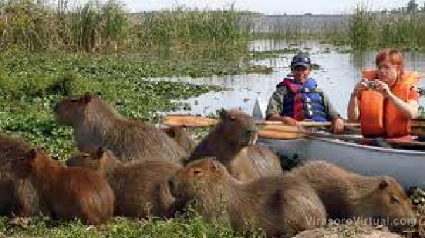 Corrientes: aseguran que la demanda de turismo interno creció tras la pandemia