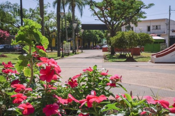 ¡Comidas típicas, juegos y lugares de recreación te esperan en la Plaza Colón!