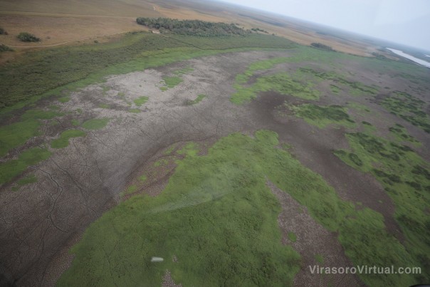 Valdés recorrió zonas del Iberá afectadas por el fuego