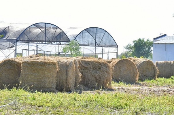 El gobernador Valdés agradeció a productores de varias provincias por la ayuda enviada para los animales afectados